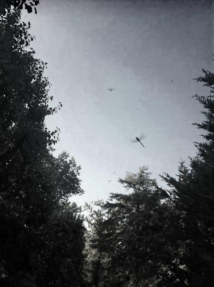 Couple working together on their relationship